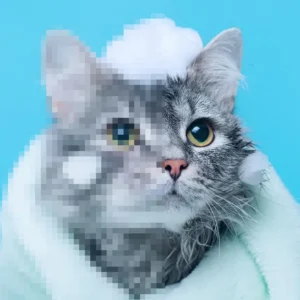 05-19-23-WebP-Optimization-Featured-Blog