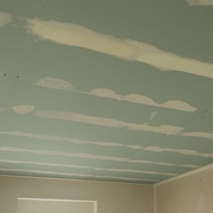 Knauf-Moisture-Panel-Plasterboard-Application-Ceiling.jpg